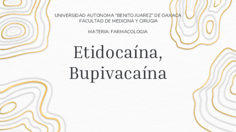 Etidocaina-Bupivacaina.pdf