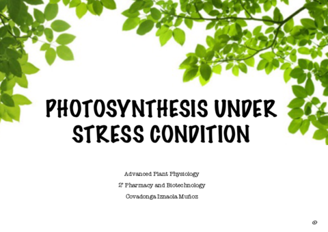 Workshop-1-Photosynthesis-Under-Stress-Condition.pdf