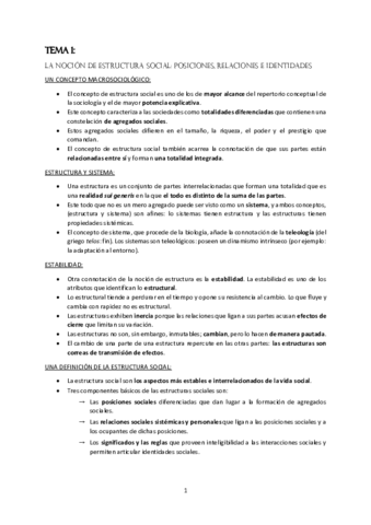 wuolah-free-Estructura-Social-de-Espana.pdf