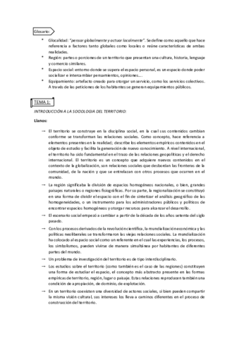 wuolah-free-Sociologia-del-Territorio.pdf