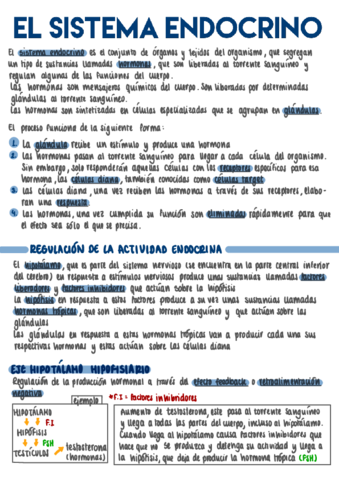 sistema-endocrino.pdf
