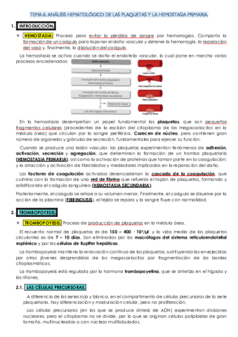 TEMA-6-HEMA.pdf