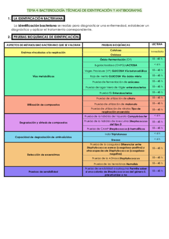 TEMA-4-micro.pdf