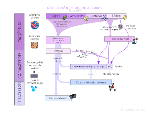Roca-generadora-pt-8.pdf