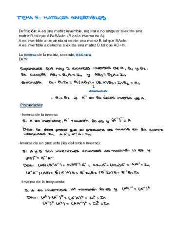 tema-5-matrices-invertibles.pdf