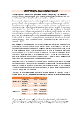 TAREA-PRACTICA-2.pdf