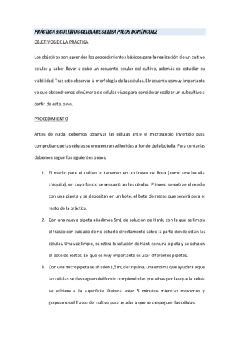 PRACTICA-3.pdf