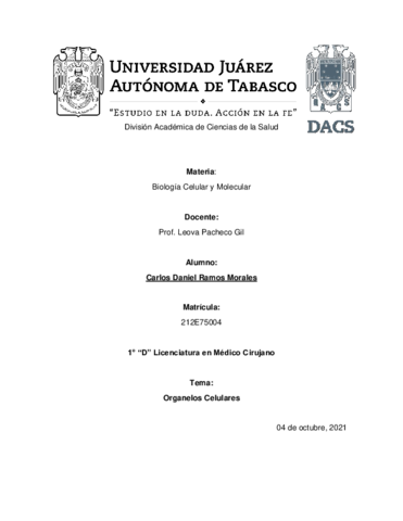 Mapas-conceptuales-de-los-organelos.pdf