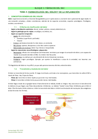 TEMA-5-Dolor-e-inflamacion.pdf