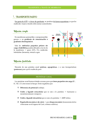 Transporte-a-traves-de-membrana.pdf