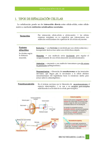 Senalizacion-celular.pdf