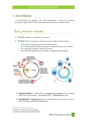 Ciclo-celular-y-Mitosis.pdf