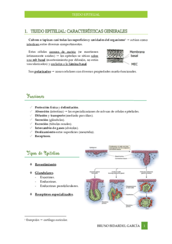 Tejido-Epitelial.pdf