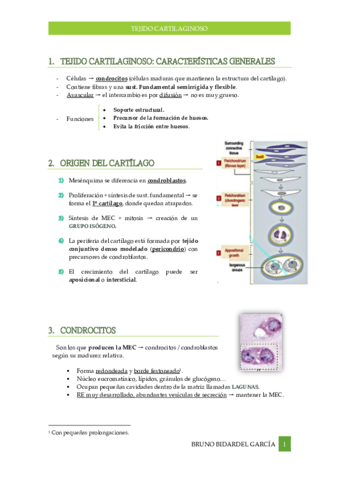 Tejido-Cartilaginoso.pdf