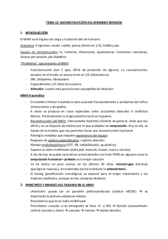 Tema-13-Reconstruccioin-MMII.pdf