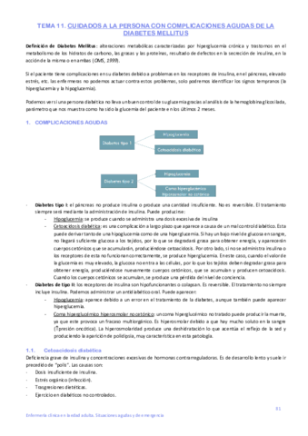 Bloque-VIII-diabetes-mellitus.pdf