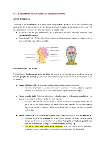 Tema-5-4.pdf