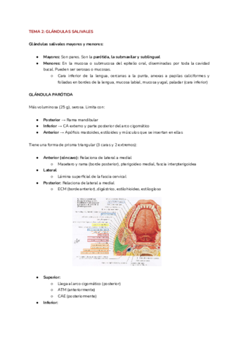 Tema-2-3.pdf