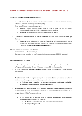 Tema-4A.pdf