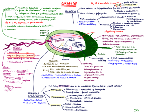 Esquema-Gram-1.pdf