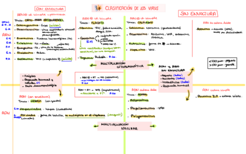 Clasificacion-de-los-virus-1.pdf