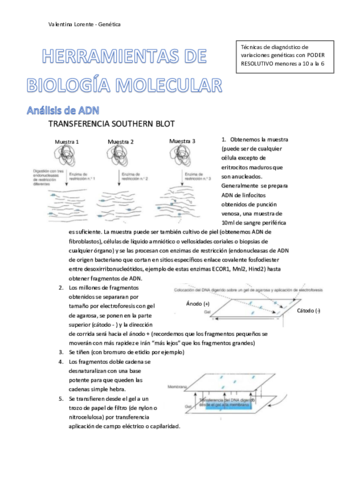 HERRAMIENTAS-DE-BIOLOGIA-MOLECULAR.pdf