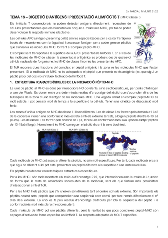 2n-PARCIAL-IMMUNO.pdf