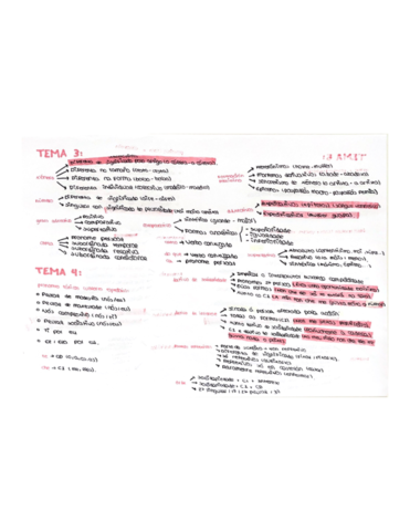 Resumenes-practica-gallego.pdf