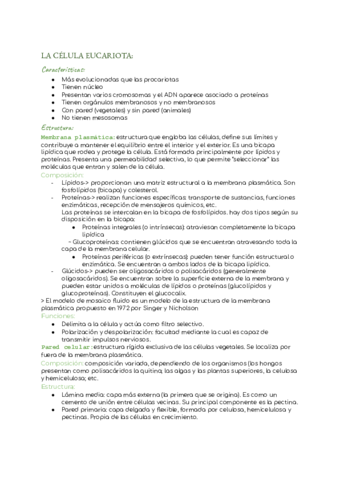 La-celula-eucariota.pdf
