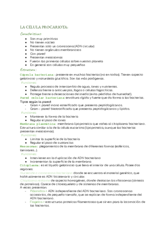 La-celula-procariota.pdf