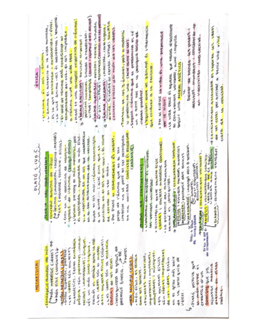 plato.pdf