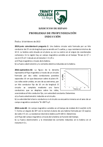 profundizacion-induccion.pdf