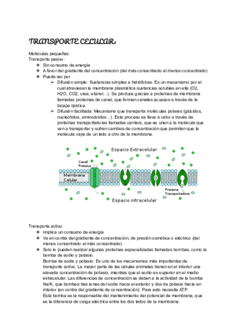 TRANSPORTE-CELULAR.pdf