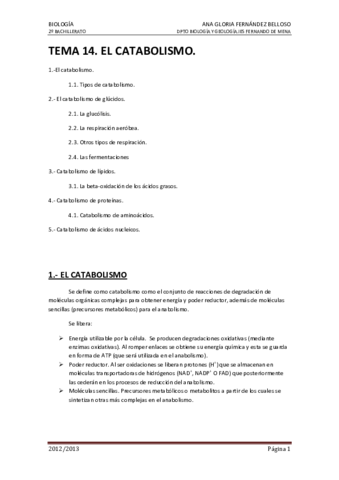 14-Catabolismo.pdf