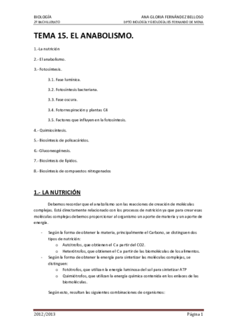 15-Anabolismo.pdf