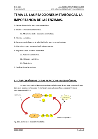 13-Reacciones-enzimaticas.pdf