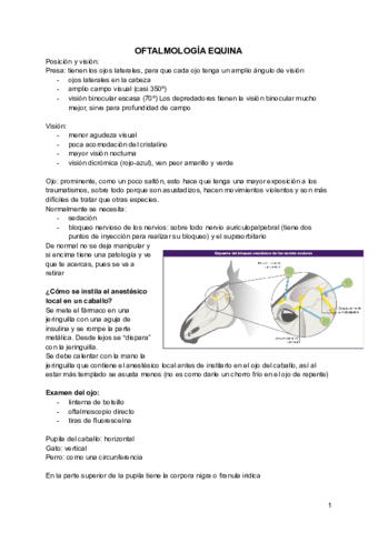 Oftalmologia-Equidos.pdf