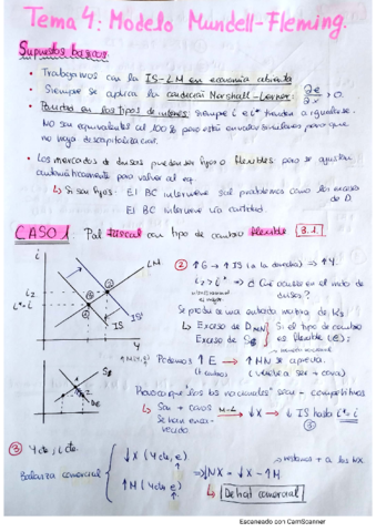 Tema-4-Macro-II.pdf