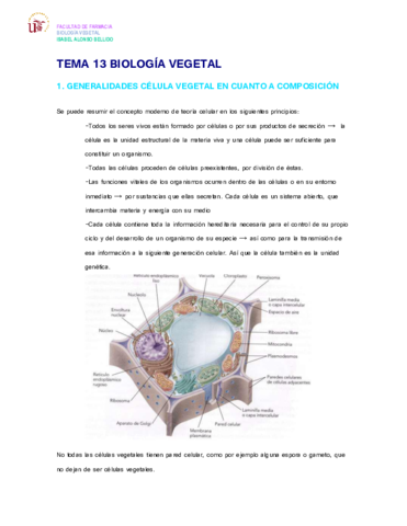 TEMA 13 BIOLOGÍA VEGETAL.pdf