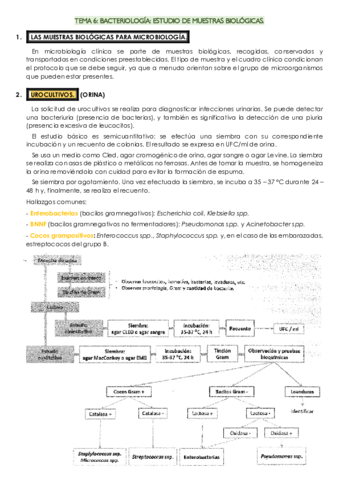 TEMA-6-micro.pdf