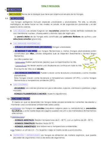 TEMA-7-micro.pdf