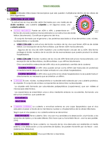 Tema-9-micro.pdf