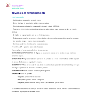 TEMAS 23-26 BIO VEGETAL.pdf