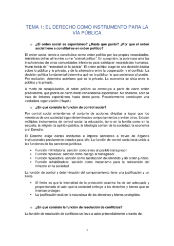 Teoria-del-Derecho-apuntes.pdf