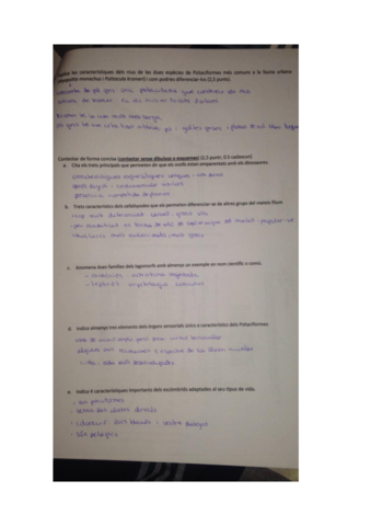 ZooPreguntesCurtes.pdf