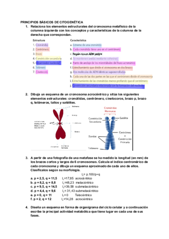 PRINCIPIOS-BASICOS-DE-CITOGENETICA.pdf