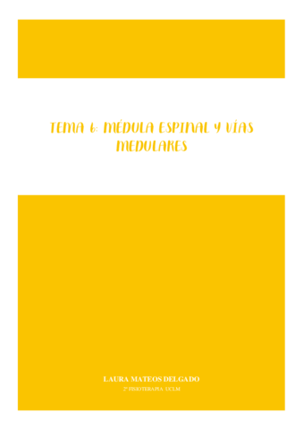 TEMA-6-MEDULA-ESPINAL-Y-VIAS-MEDULARES.pdf