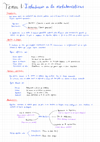 TEMA-1-Introduccion-a-las-metaheuristicas220202234407.pdf