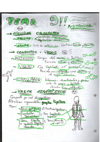TEMA-9-La-nurticion-en-los-animales-2-1.pdf
