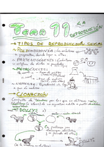 TEMA-11-La-reproduccion-en-los-animales.pdf